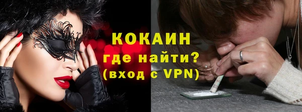 шишки Армянск