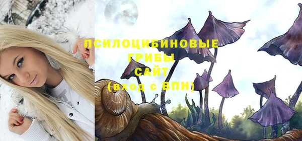 шишки Армянск