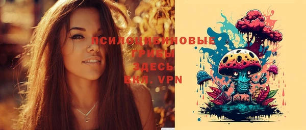 ПСИЛОЦИБИНОВЫЕ ГРИБЫ Покачи