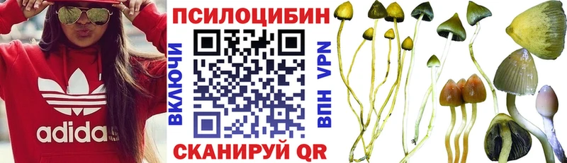 Псилоцибиновые грибы Psilocybe  дарнет шоп  Усть-Лабинск 
